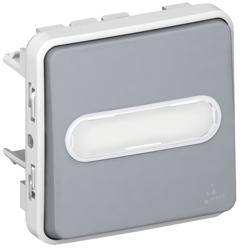 Кнопочный выключатель с подсветкой, Н.О. контакт, с держателем этикетки - Программа Plexo - серый - 10 A | код 069543 |  Legrand